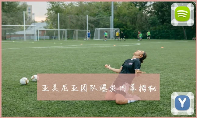 亚美尼亚团队爆发内幕揭秘