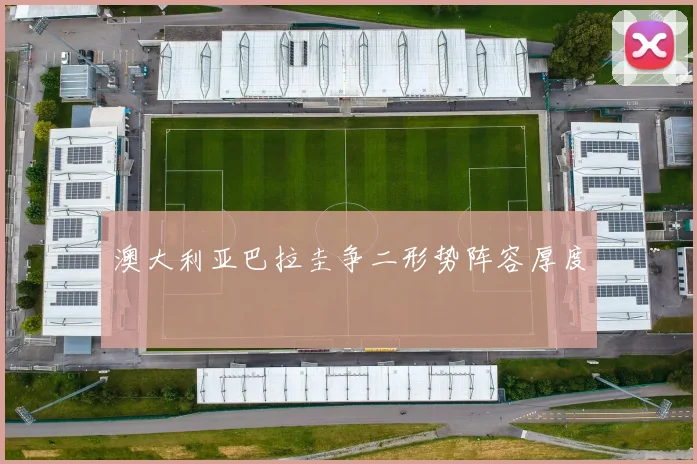 澳大利亚巴拉圭争二形势阵容厚度