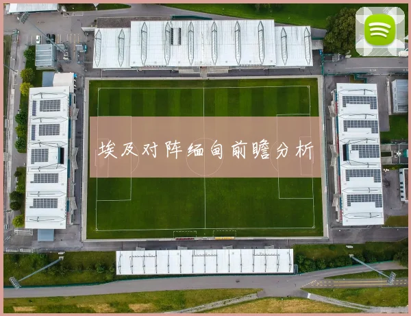 埃及对阵缅甸前瞻分析