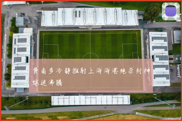 费南多冷静推射上海海港绝杀封神球迷沸腾