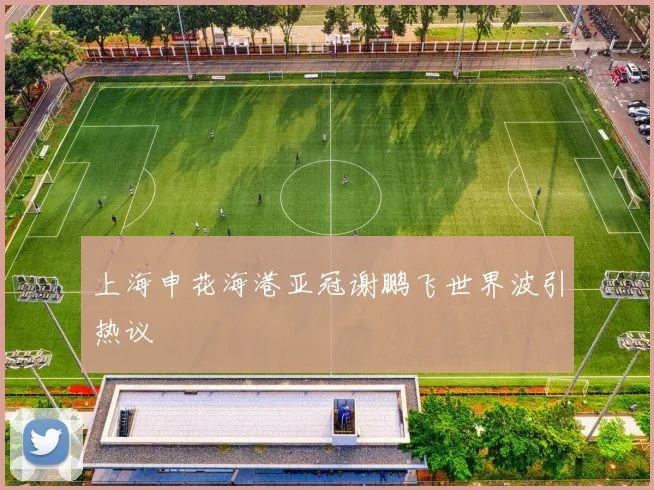 上海申花海港亚冠谢鹏飞世界波引热议