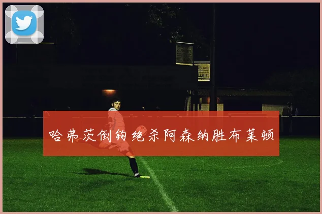 哈弗茨倒钩绝杀阿森纳胜布莱顿