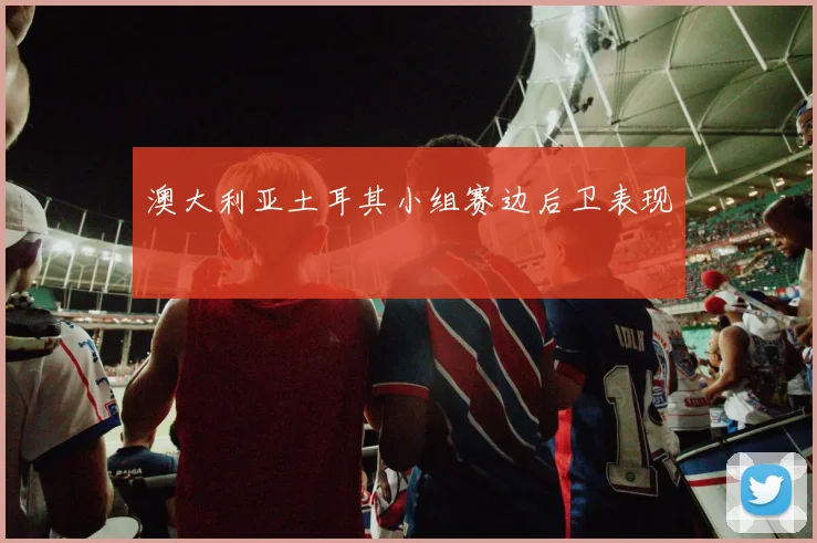 澳大利亚土耳其小组赛边后卫表现