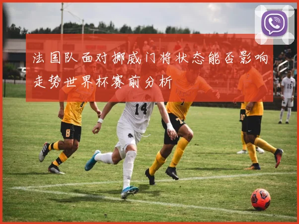 法国队面对挪威门将状态能否影响走势世界杯赛前分析