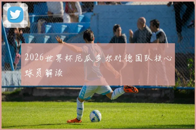 2026世界杯厄瓜多尔对德国队核心球员解读