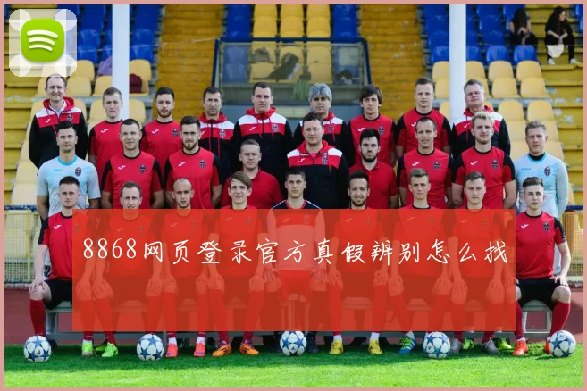 8868网页登录官方真假辨别怎么找