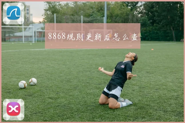 8868规则更新后怎么查